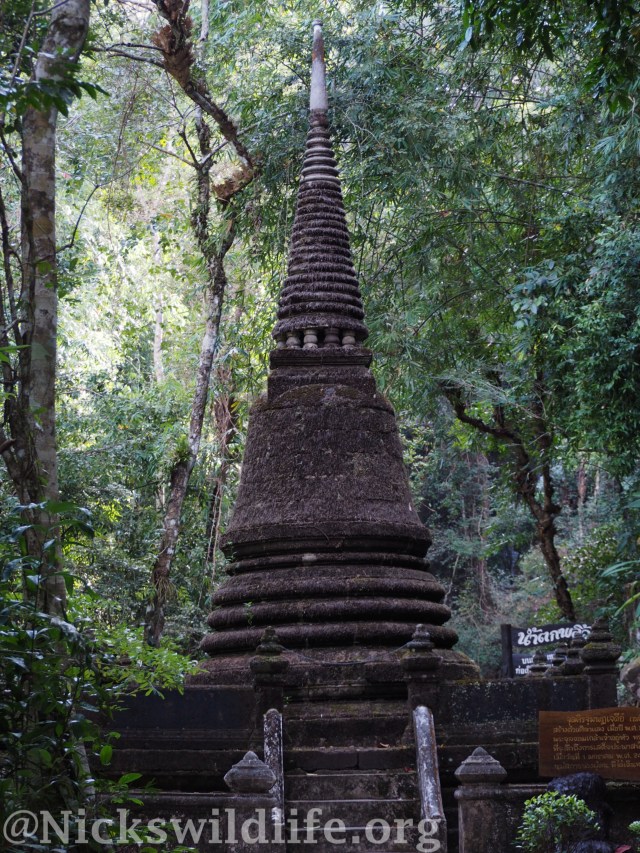 chedi.jpg